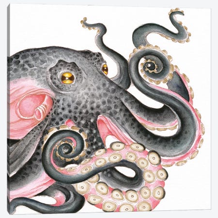 Grey Salmon Pink Octopus Watercolor Canvas Print #SSI161} by Seven Sirens Studios Canvas Art Print