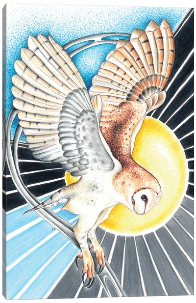 Landing Barn Owl Moon Magic Canvas Art Print