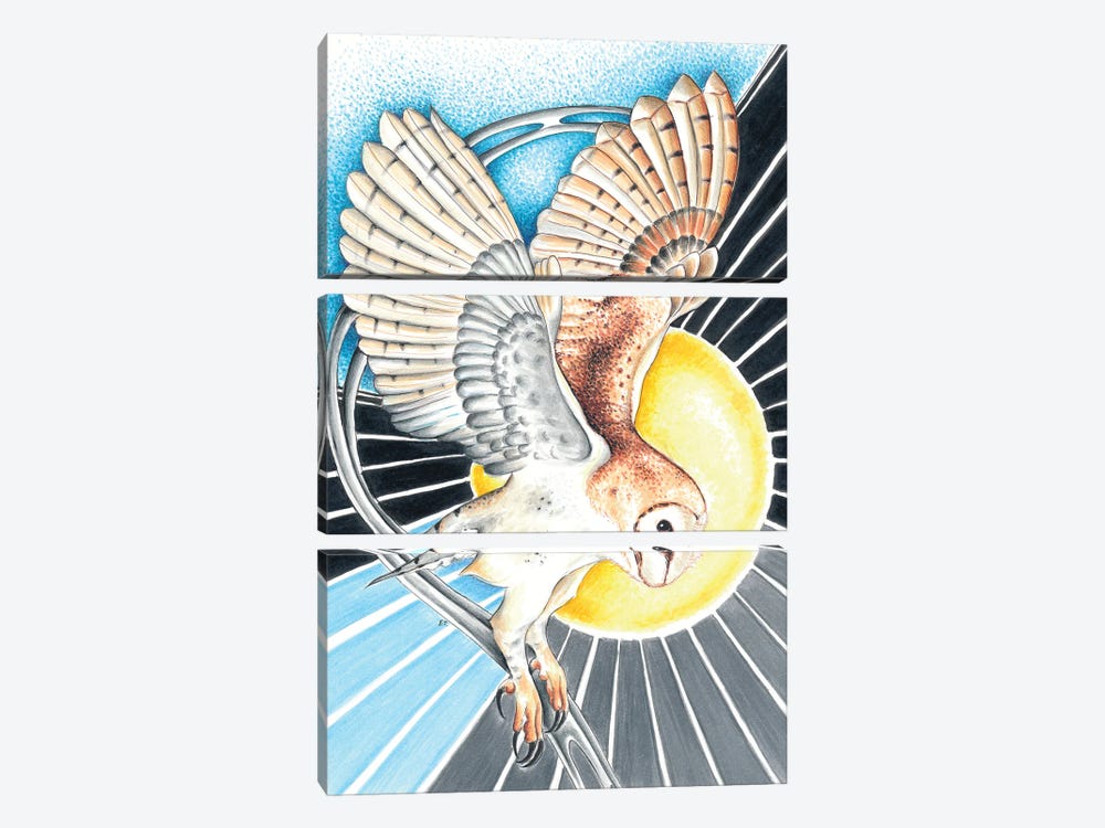 Landing Barn Owl Moon Magic by Seven Sirens Studios 3-piece Canvas Artwork