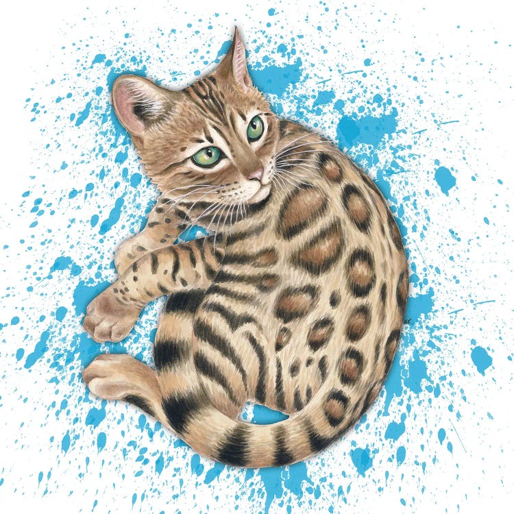 Cute Bengal Kitten Blue Splash by Seven Sirens Studios wall art