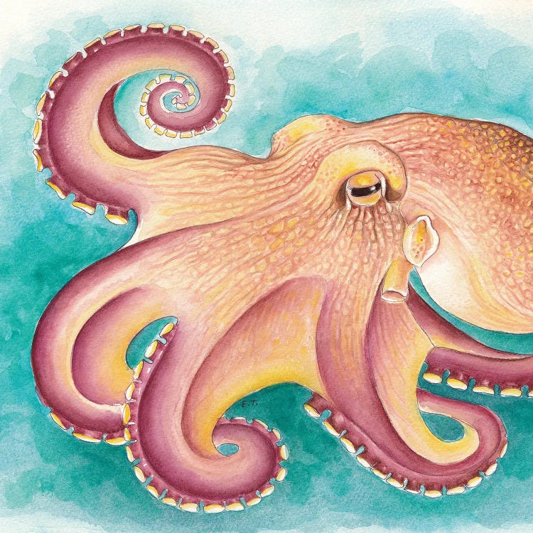 Coconut Muscle Octopus Watercolor Art