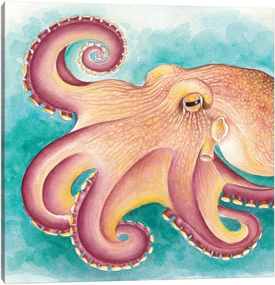 Coconut Muscle Octopus Watercolor Art Canvas Art Print - Seven Sirens Studios