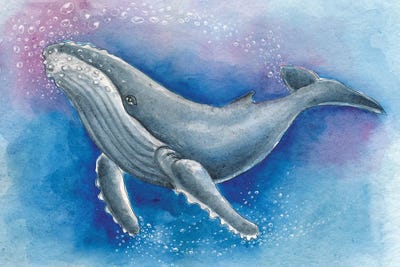Blue Humpback Whale Bubbles by Seven Sirens Studios framed wall art