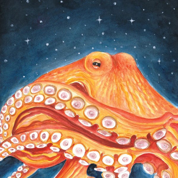 Seven Sirens Studios: Orange Red Octopus Galaxy Stars by Seven Sirens Studios