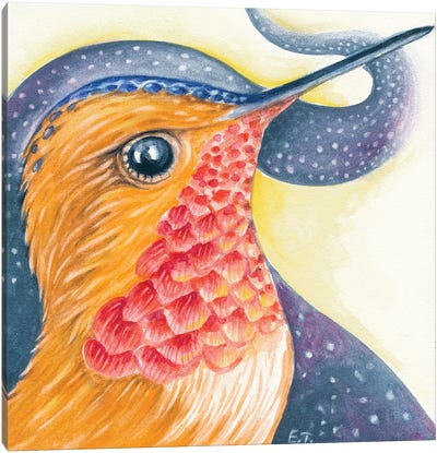 Red Rufous Hummingbird Cosmic Stars Galaxy Canvas Art Print - Seven Sirens Studios