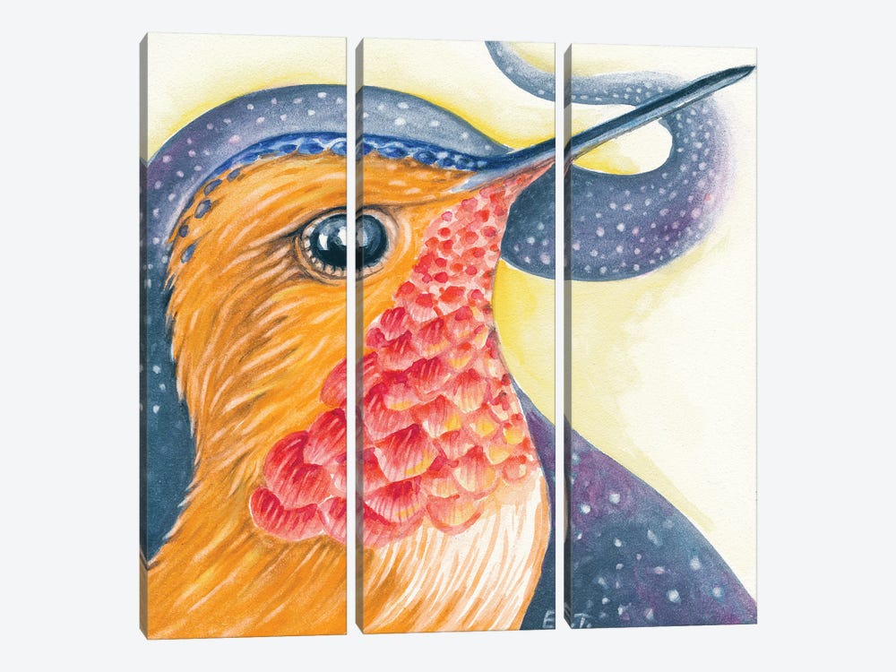 Red Rufous Hummingbird Cosmic Stars Galaxy by Seven Sirens Studios 3-piece Canvas Art