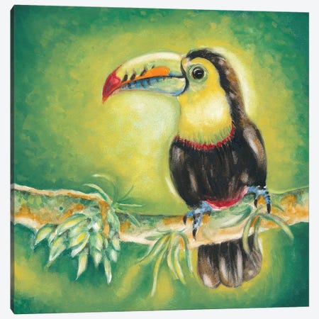 Toucan Bird Exotic Tropical Jungle Green Canvas Print #SSI175} by Seven Sirens Studios Art Print
