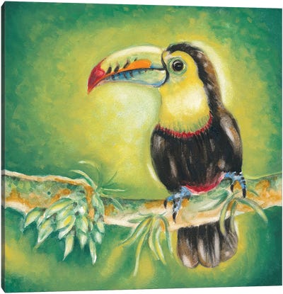 Toucan Bird Exotic Tropical Jungle Green Canvas Art Print - Toucan Art