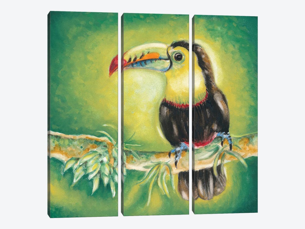 Toucan Bird Exotic Tropical Jungle Green by Seven Sirens Studios 3-piece Art Print