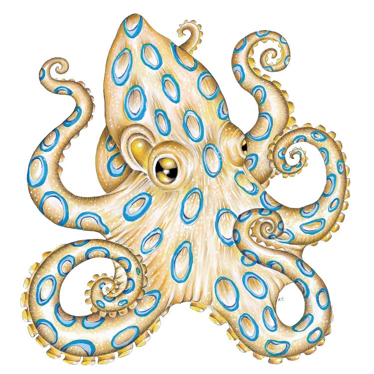 Blue Ring Octopus Tentacles