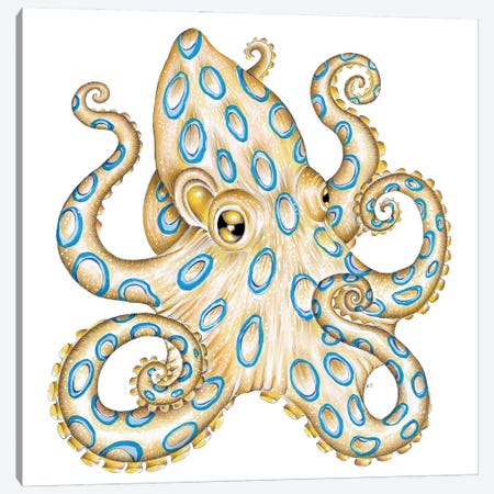 Blue Ring Octopus Tentacles Canvas Print #SSI176} by Seven Sirens Studios Canvas Art Print