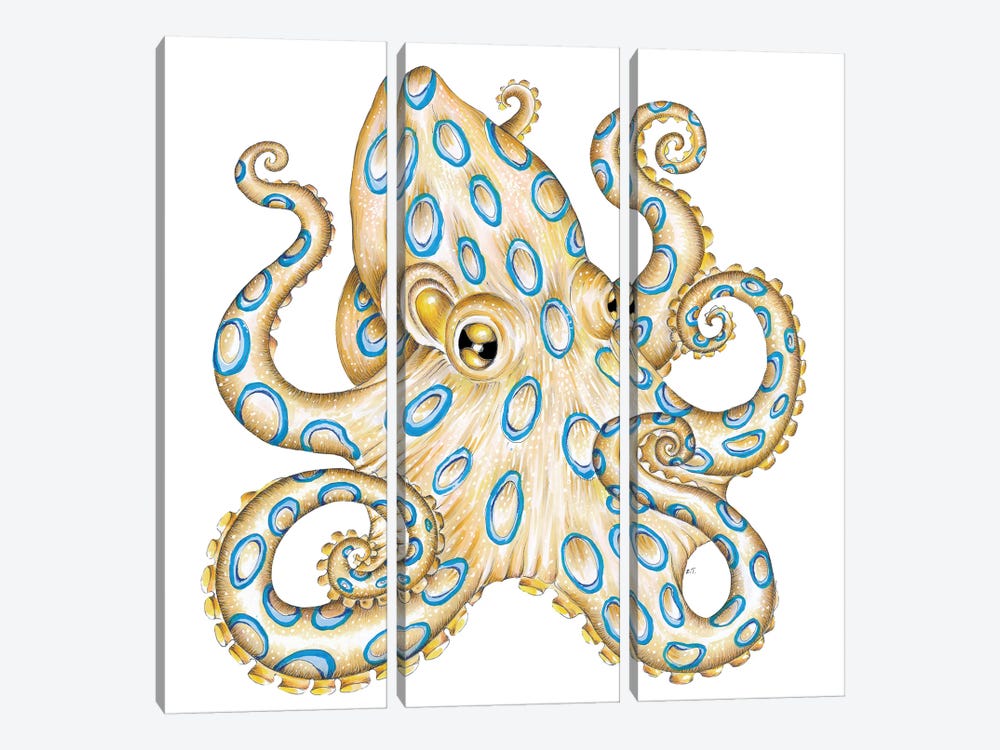 Blue Ring Octopus Tentacles by Seven Sirens Studios 3-piece Canvas Art