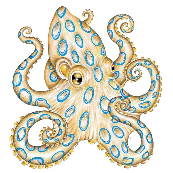 Seven Sirens Studios: Blue Ring Octopus Tentacles by Seven Sirens Studios