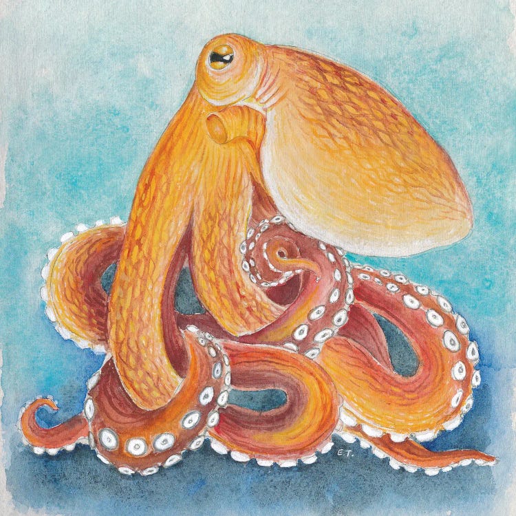 Red Octopus Watercolor Ink Art