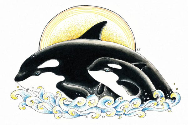 Orcas: Orca Killer Whale Mom And The Calf Waves Sun Ink Art by Seven Sirens Studios