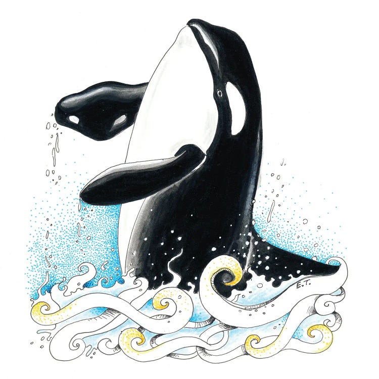 Orca Killer Whale Waves Splash Ink Art by Seven Sirens Studios wall art