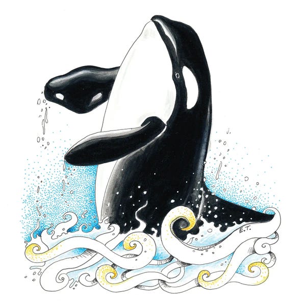 Orcas: Orca Killer Whale Waves Splash Ink Art by Seven Sirens Studios
