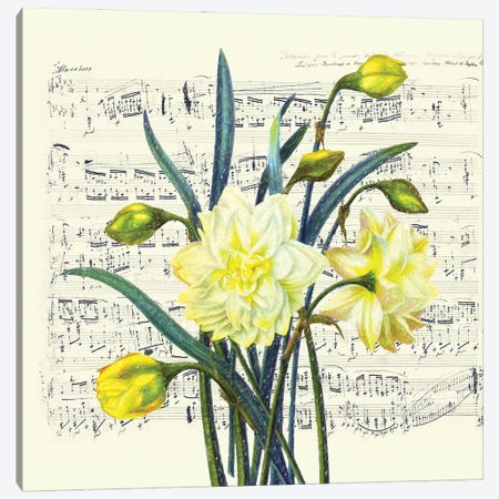 Daffodils Spring Music Shabby Chic Canvas Print #SSI24} by Seven Sirens Studios Canvas Artwork