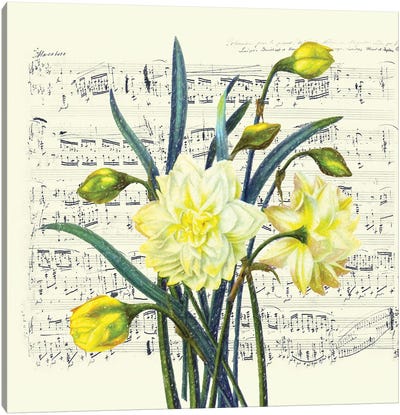 Daffodils Spring Music Shabby Chic Canvas Art Print - Musical Notes Art