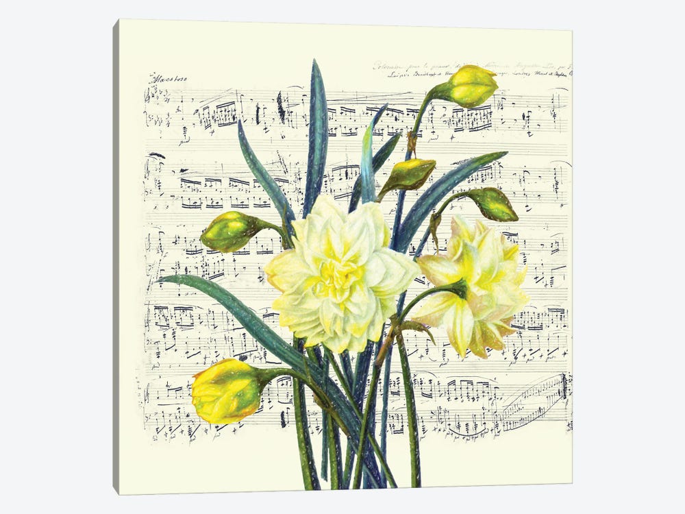 Daffodils Spring Music Shabby Chic by Seven Sirens Studios 1-piece Canvas Wall Art