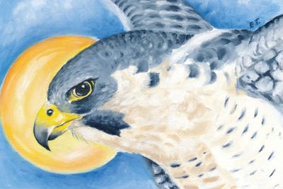 Peregrine Falcon Sun Sky by Seven Sirens Studios framed canvas print