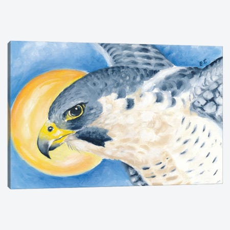 Peregrine Falcon Sun Sky Canvas Print #SSI28} by Seven Sirens Studios Art Print
