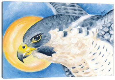 Peregrine Falcon Sun Sky Canvas Art Print - Falcons