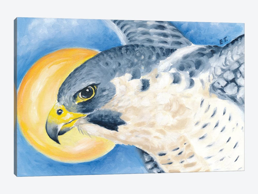 Peregrine Falcon Sun Sky by Seven Sirens Studios 1-piece Canvas Art