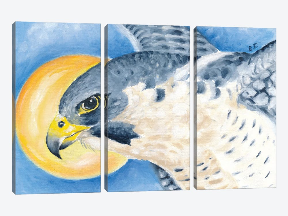 Peregrine Falcon Sun Sky by Seven Sirens Studios 3-piece Canvas Artwork