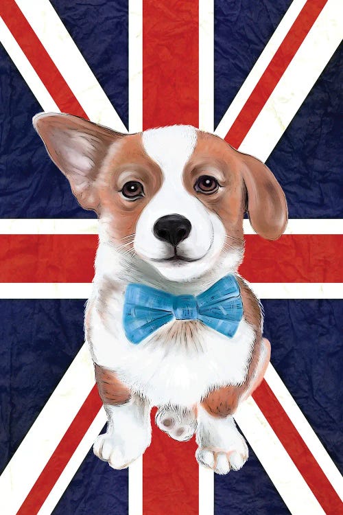 Corgi And The Flag