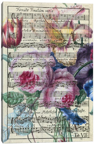 Floral Songs Music Chic Canvas Art Print - Musical Notes Art