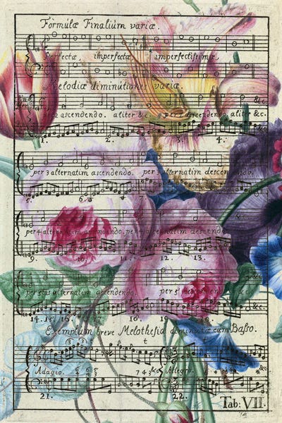 Seven Sirens Studios: Floral Songs Music Chic by Seven Sirens Studios