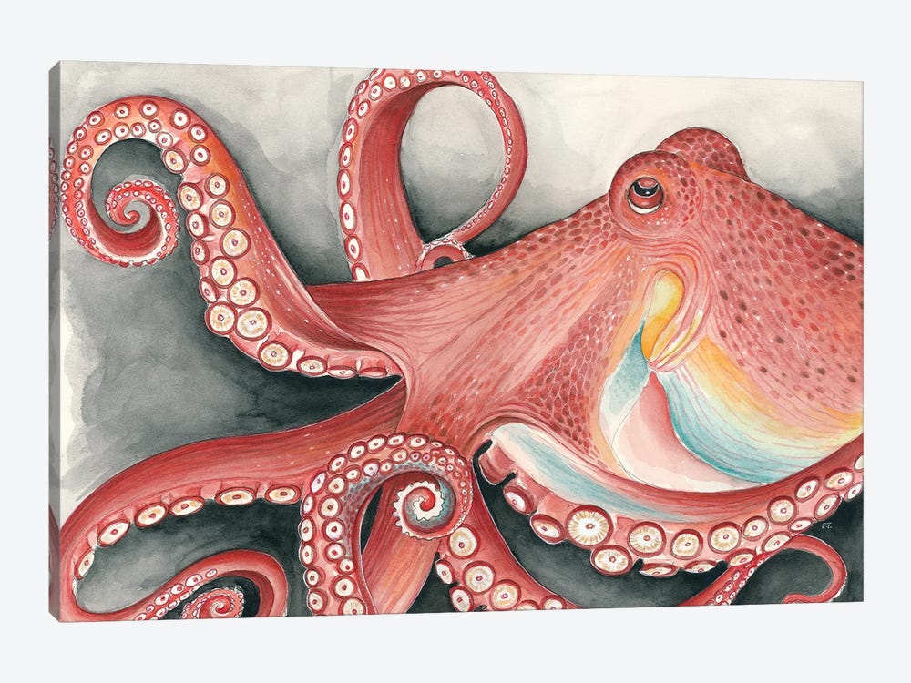 Giant Red Pacific Octopus Watercolor Art by Seven Sirens Studios 1-piece Canvas Art
