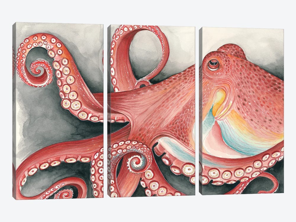 Giant Red Pacific Octopus Watercolor Art by Seven Sirens Studios 3-piece Canvas Artwork