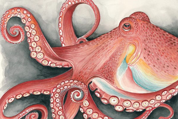 Sea Life: Giant Red Pacific Octopus Watercolor Art by Seven Sirens Studios
