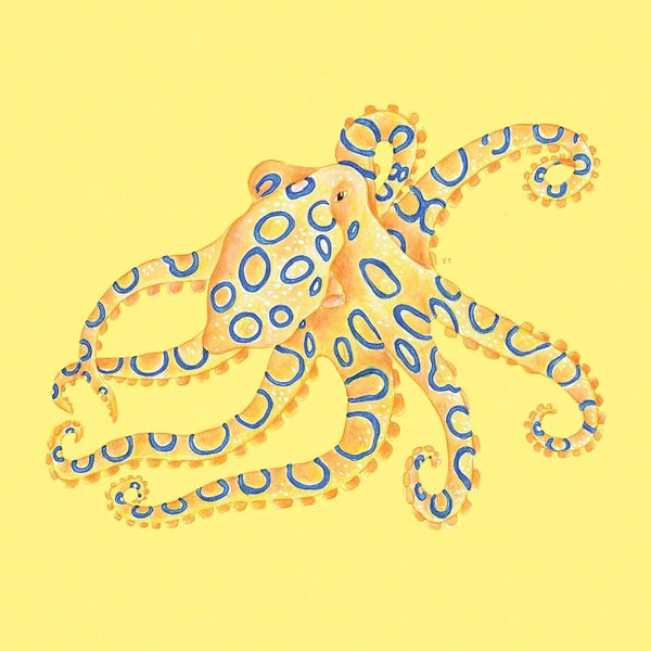 Seven Sirens Studios: Blue Ring Octopus On Yellow Watercolor by Seven Sirens Studios