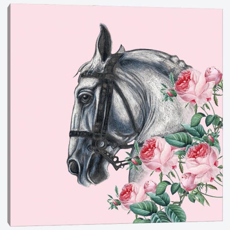Horse And The Roses Pink Canvas Print #SSI37} by Seven Sirens Studios Art Print