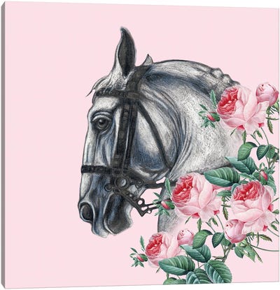 Horse And The Roses Pink Canvas Art Print - Seven Sirens Studios