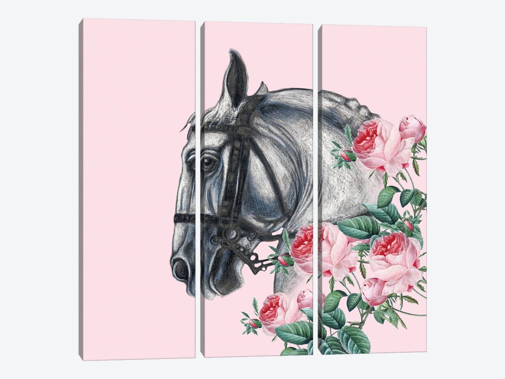 Horse And The Roses Pink by Seven Sirens Studios 3-piece Canvas Art