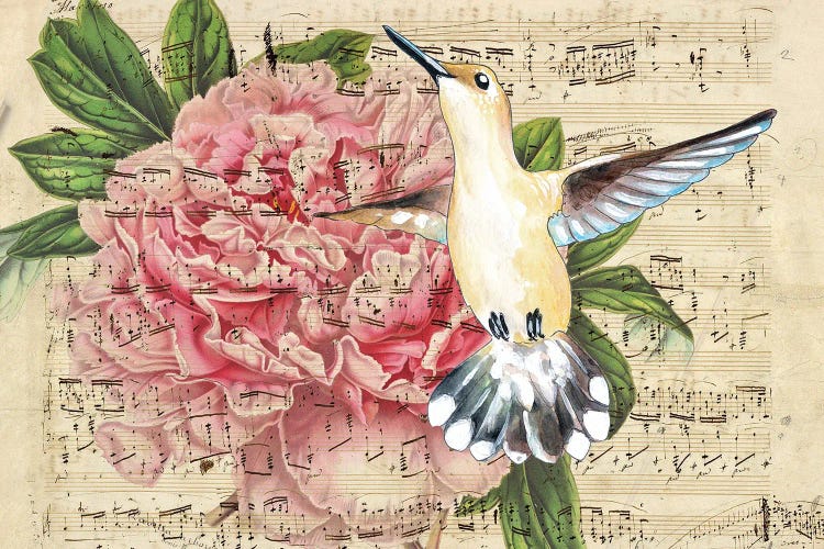 Hummingbird Peony Music Vintage