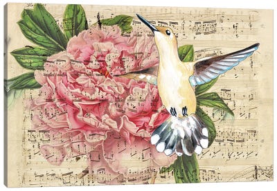 Hummingbird Peony Music Vintage Canvas Art Print - Musical Notes Art