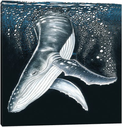 Humpback Whale Diving Ink Art Canvas Art Print - Whale Art
