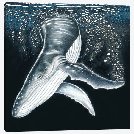 Humpback Whale Diving Ink Art Canvas Print #SSI40} by Seven Sirens Studios Art Print
