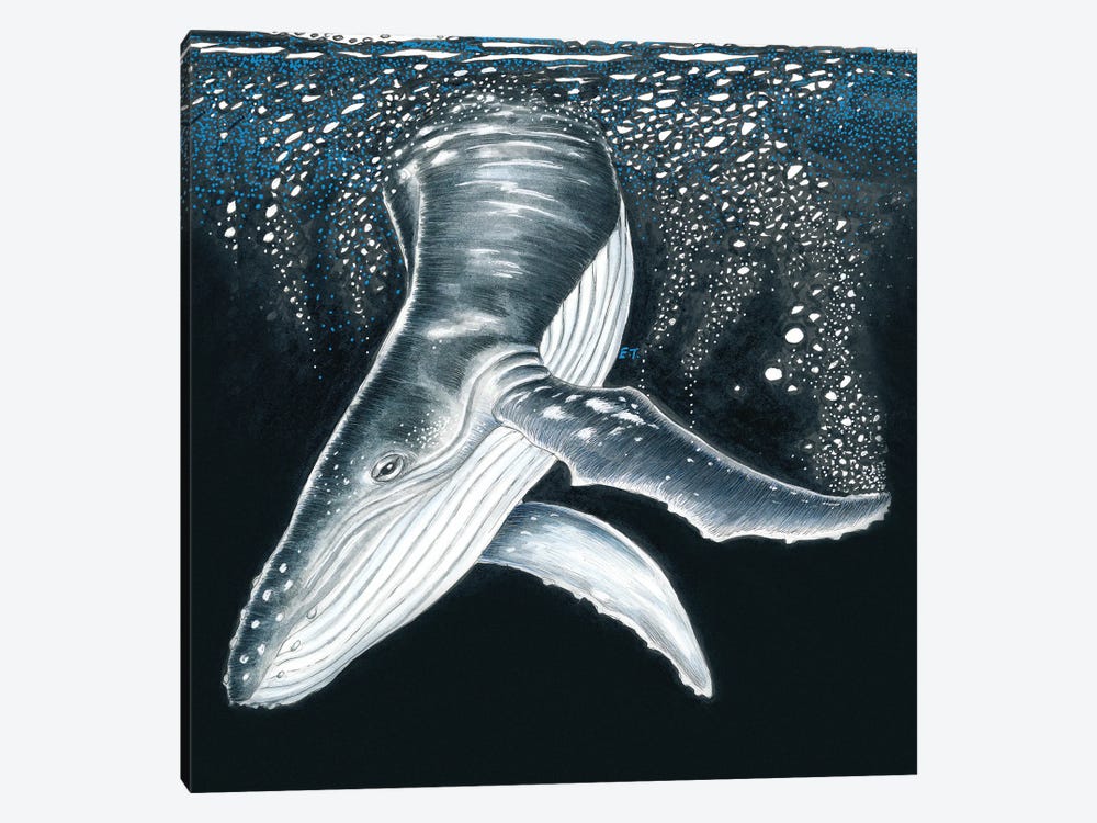 Humpback Whale Diving Ink Art by Seven Sirens Studios 1-piece Canvas Wall Art