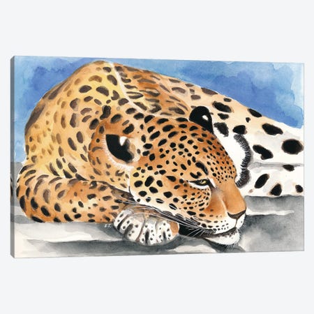 Reclining Jaguar Watercolor Art Canvas Print #SSI42} by Seven Sirens Studios Canvas Print