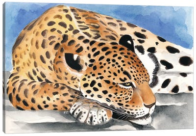 Reclining Jaguar Watercolor Art Canvas Art Print - Seven Sirens Studios