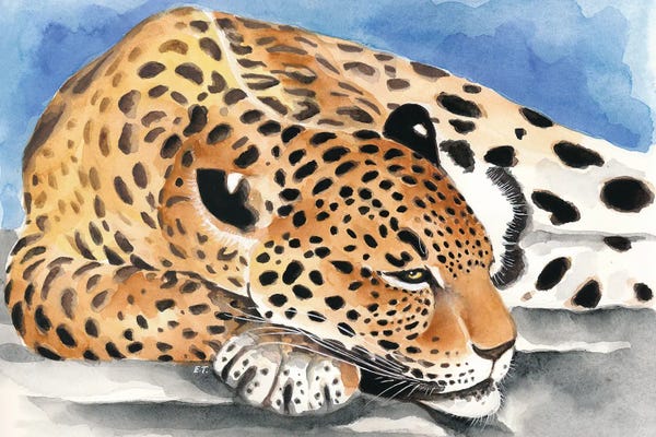 Jaguars: Reclining Jaguar Watercolor Art by Seven Sirens Studios