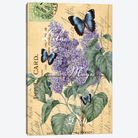 Lilac Butterfly Letter Chic Canvas Print #SSI44} by Seven Sirens Studios Canvas Art