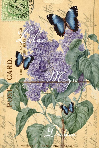 Vintage Botanical Illustrations: Lilac Butterfly Letter Chic by Seven Sirens Studios