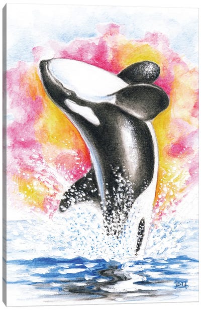 Breaching Orca Whale Rainbow Watercolor Canvas Art Print - Orca Whale Art